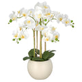 Phalaenopsis x5, 65cm, weiss, Real Touch, im Kunststofftopf creme 22x17cm