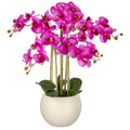 Phalaenopsis x5, 65cm, lila, Real Touch, im Kunststofftopf creme 22x17cm