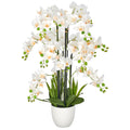 Phalaenopsis x18, 90cm, weiss, Real Touch, im weissen Kunststofftopf 18x16,5cm