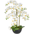 Phalaenopsis x6, 80cm, weiss, Real Touch, in schwarzer Kunststoffschale 25x12cm