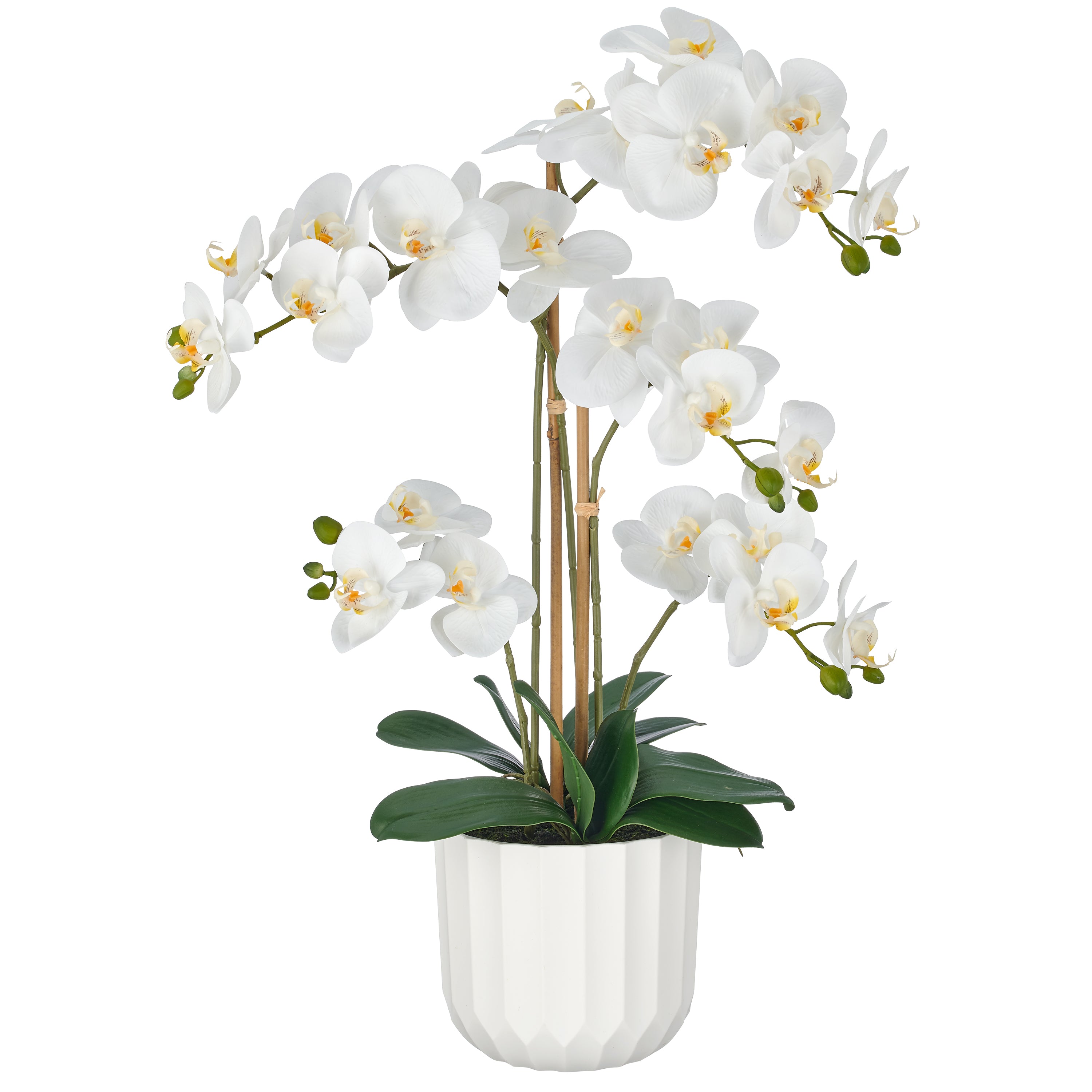 Phalaenopsis x5, 70cm, weiss, Real Touch, im weissen Melamintopf 18x16,5cm