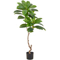 Plumeria hawaiian x2, 130cm, gruen, im Kunststofftopf 17x14,5cm
