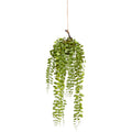Columnea Haengeball, 90cm, gruen, D13cm, Kunststoff