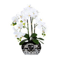 Phalaenopsis x4, ca 55cm weiss, in Ovalvase, silber 20x11x13cm
