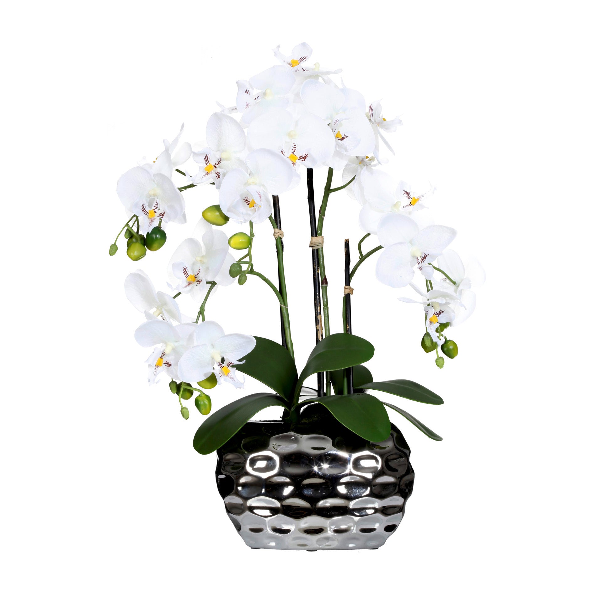 Phalaenopsis x4, ca 55cm weiss, in Ovalvase, silber 20x11x13cm