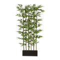 Bambusraumteiler x5, ca 165cm, 1320 Bl., Naturstamm, gruen, Holzkasten 50x12x18cm schwarz