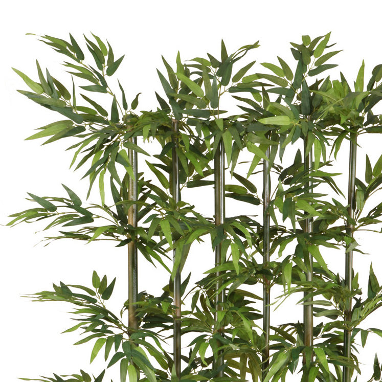 Bambusraumteiler x5, ca 165cm, 1320 Bl., Naturstamm, gruen, Holzkasten 50x12x18cm schwarz
