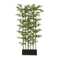 Bambusraumteiler x6, ca 195cm, 1880 Bl., Naturstamm, gruen, Holzkasten 60x12x20cm schwarz