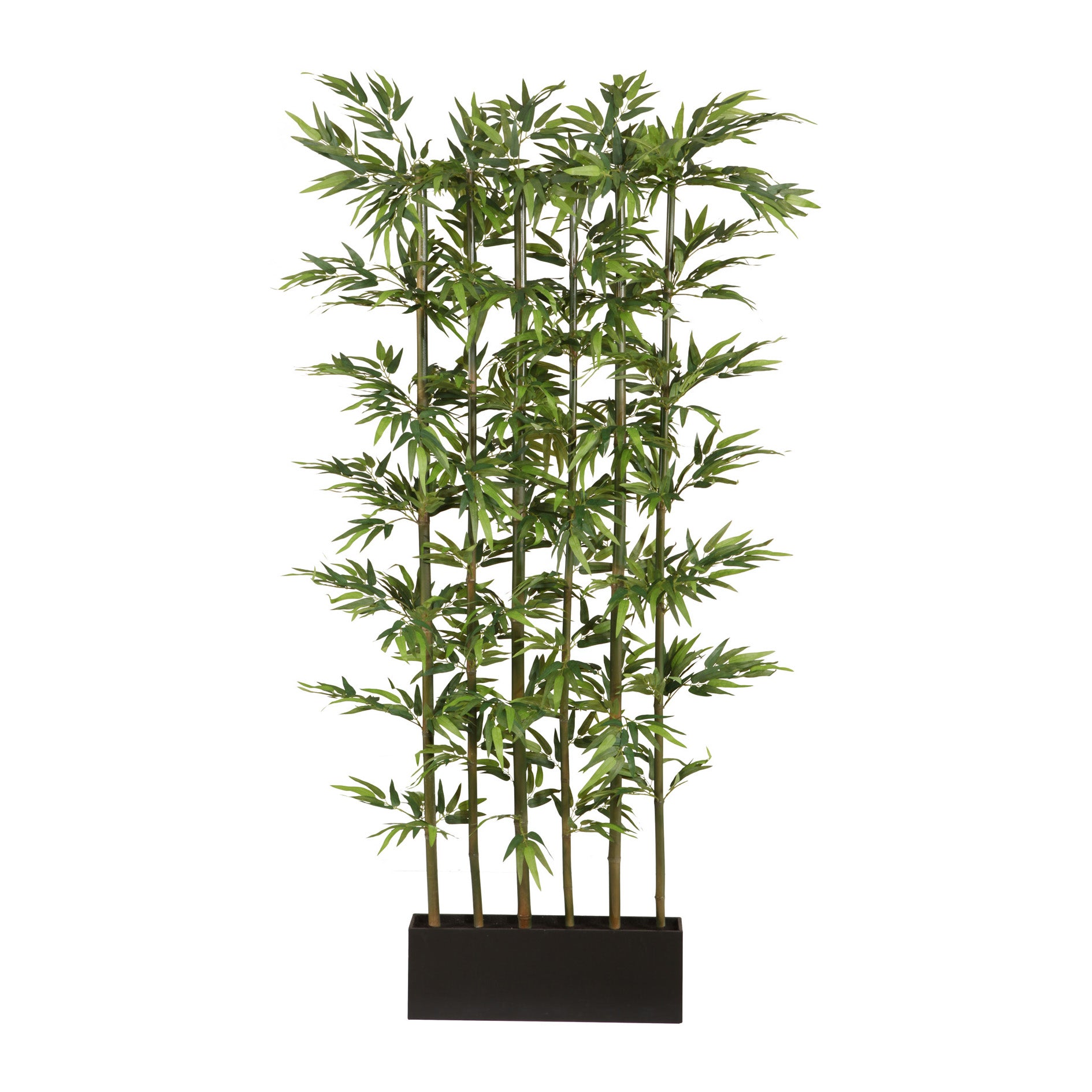 Bambusraumteiler x6, ca 195cm, 1880 Bl., Naturstamm, gruen, Holzkasten 60x12x20cm schwarz