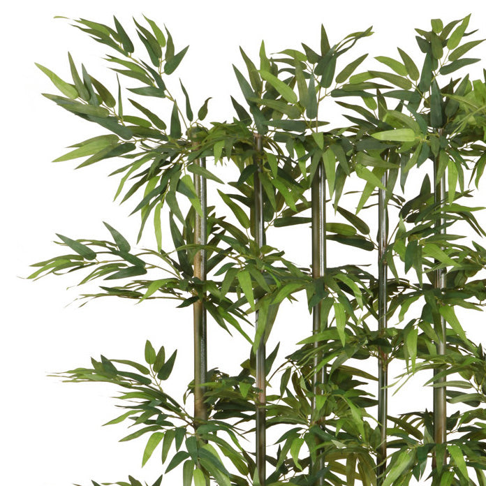 Bambusraumteiler x6, ca 195cm, 1880 Bl., Naturstamm, gruen, Holzkasten 60x12x20cm schwarz