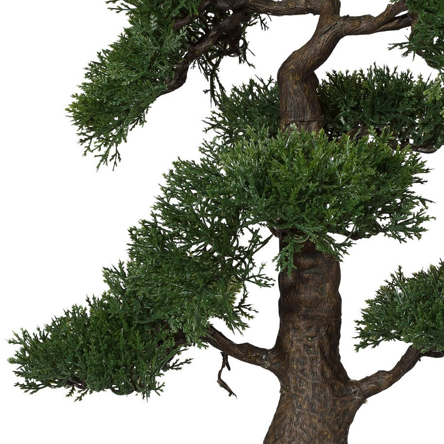Bonsai Zeder, ca 48cm, in Keramiktopf schwarz D18cm, m. Kies