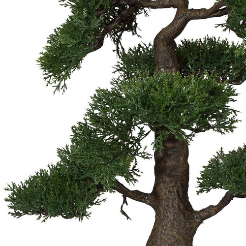 Bonsai Zeder, ca 48cm, in Keramiktopf schwarz D18cm, m. Kies