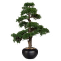 Bonsai Zeder, ca 70cm, gruen, im schwarzen Keramiktopf D20cm mit Kies
