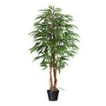 Weeping-Ficus, 150cm, 720 Bl., Naturstamm, gruen im Kunststofftopf 17x14,5cm