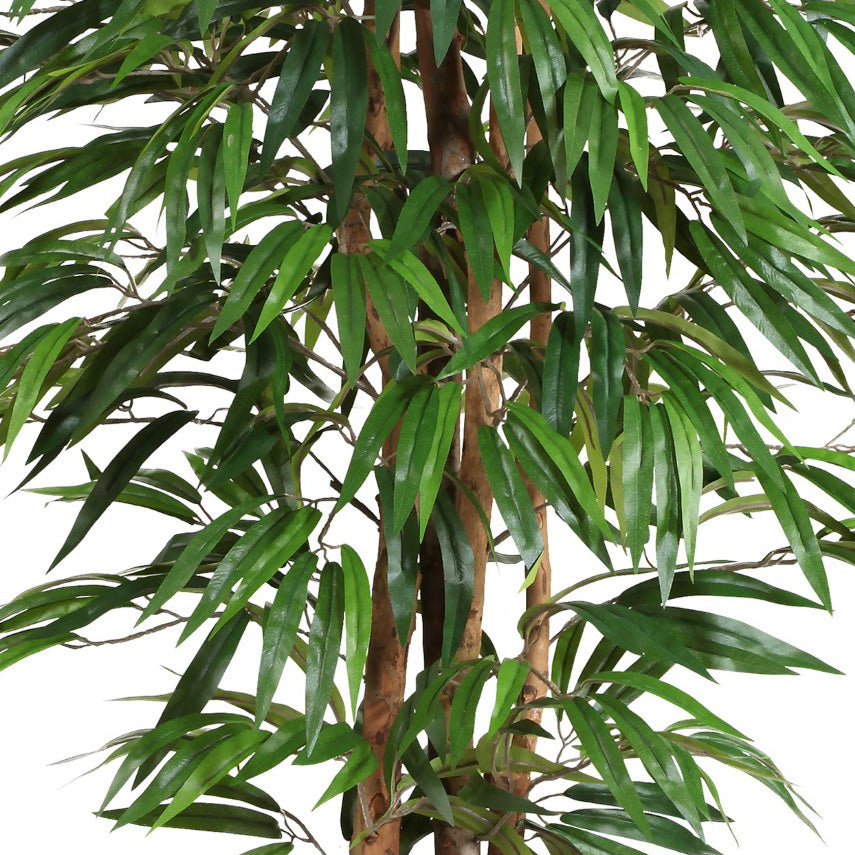Weeping-Ficus, 150cm, 720 Bl., Naturstamm, gruen im Kunststofftopf 17x14,5cm