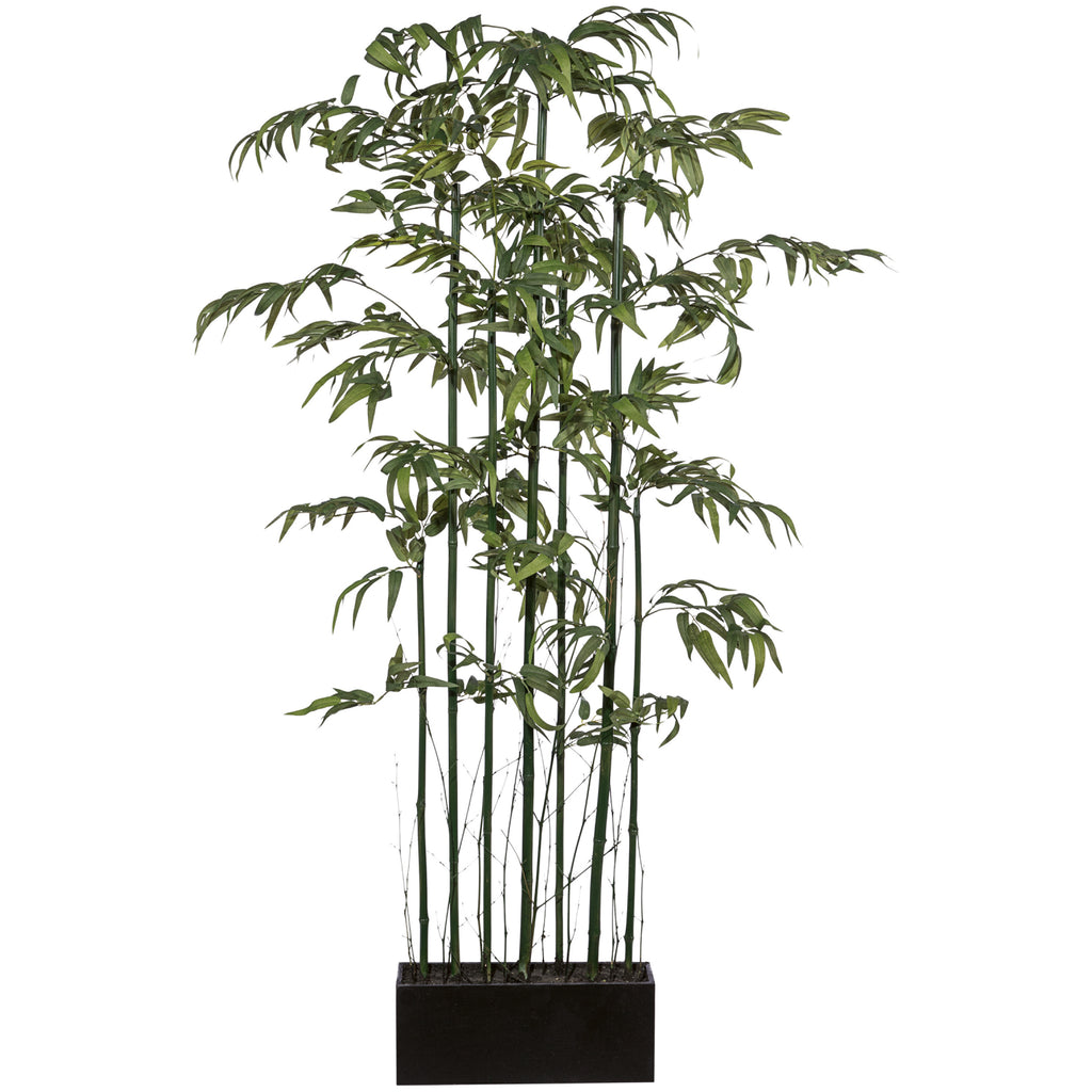 Bambusraumteiler x7, Mix, ca 150cm, Naturstamm, gruen, im Holzkasten 30x14x11cm