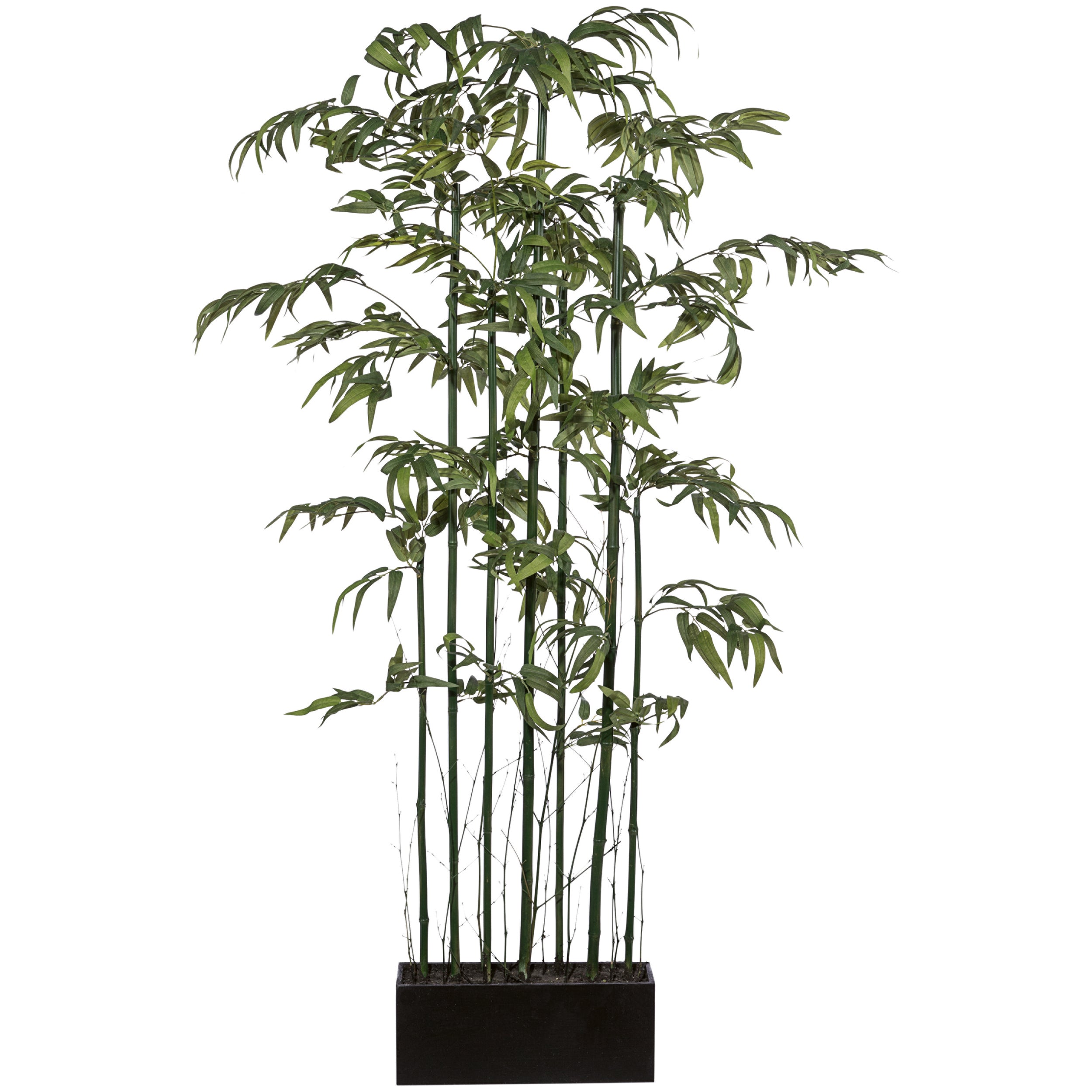 Bambusraumteiler x7, Mix, ca 150cm, Naturstamm, gruen, im Holzkasten 30x14x11cm