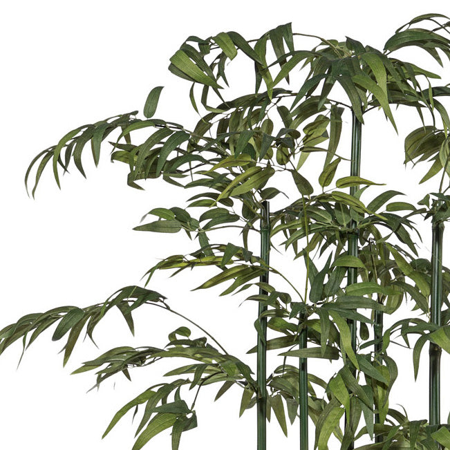 Bambusraumteiler x7, Mix, ca 150cm, Naturstamm, gruen, im Holzkasten 30x14x11cm