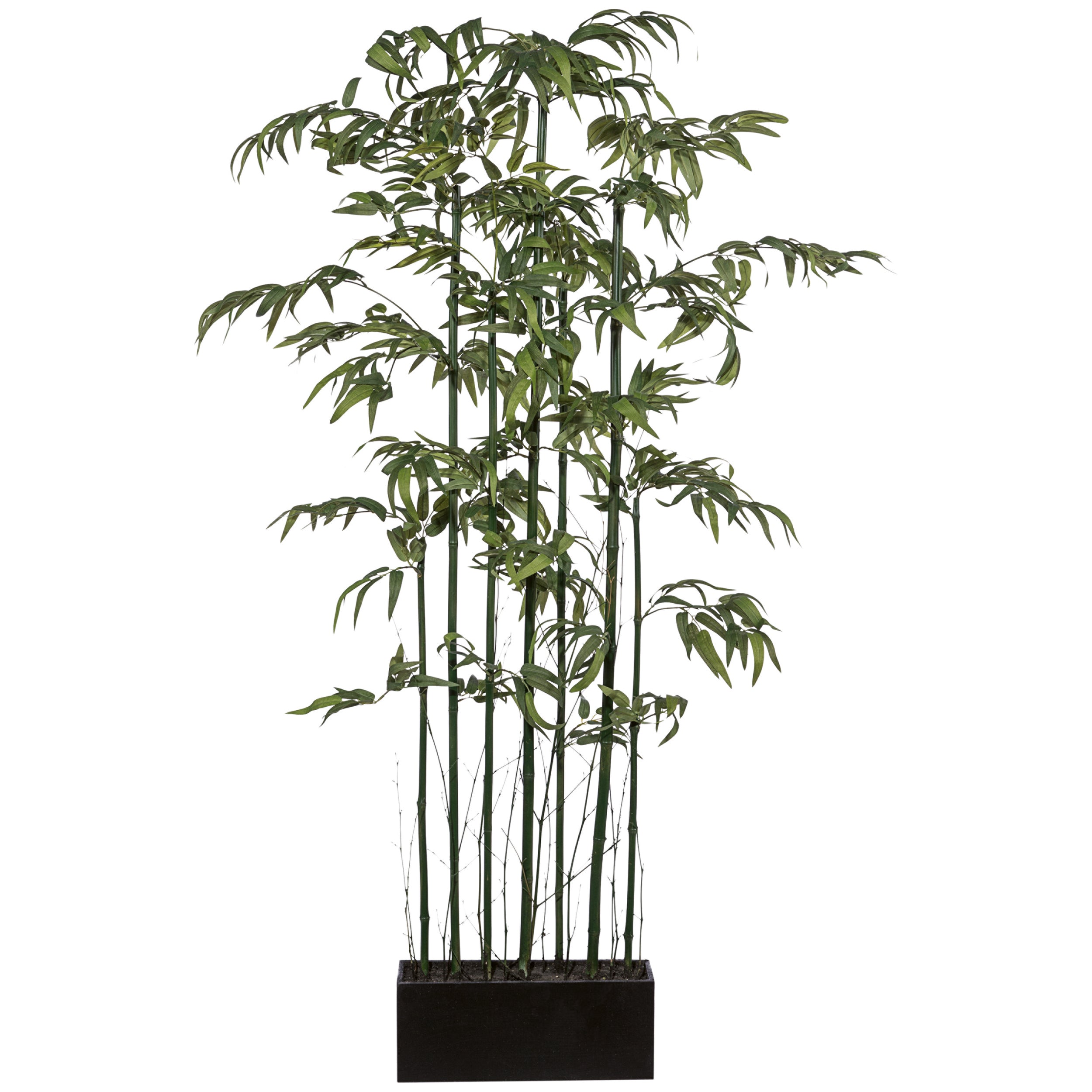 Bambusraumteiler x7, Mix, ca 180cm, Naturstamm, gruen, im Holzkasten 40x16x11cm