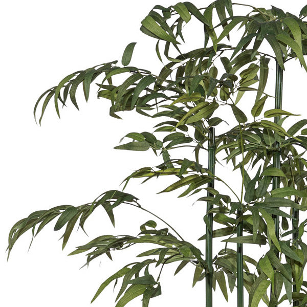 Bambusraumteiler x7, Mix, ca 180cm, Naturstamm, gruen, im Holzkasten 40x16x11cm