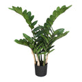 Zamifolia x7, 70cm, 120 Bl., im Topf D 12x11cm