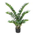 Zamifolia x9, 90cm, 161 Bl., im Topf