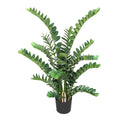 Zamifolia x15, 130cm, 294 Bl., im Topf