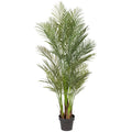 Arecapalme x6, ca 160cm gruen, Kunststoff, im Topf 17x19,5cm