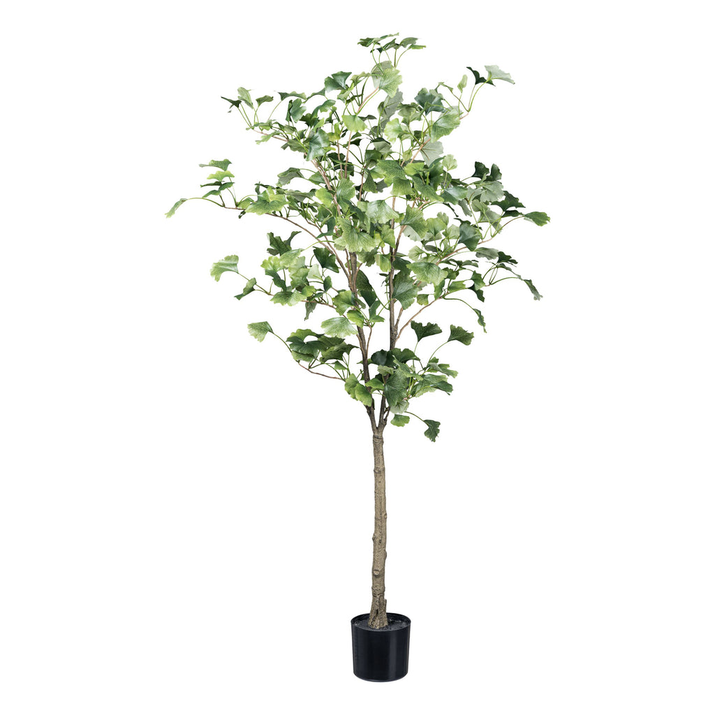 Gingkobaum x 333 Bl. ca 120cm gruen im Kunststofftopf 12x11cm m. Erde, Stamm Kunststoff