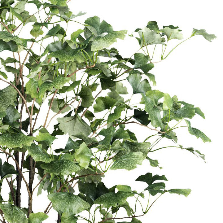 Gingkobaum x 462 Bl. ca 150cm gruen im Kunststofftopf m.Erde 14,5x12,5cm Stamm Kunststoff