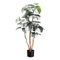 Monstera deliciosa Variegata x38 Bl., ca 110cm gruenweiss,im schwarzen Kunststofftopf 15,5x13cm