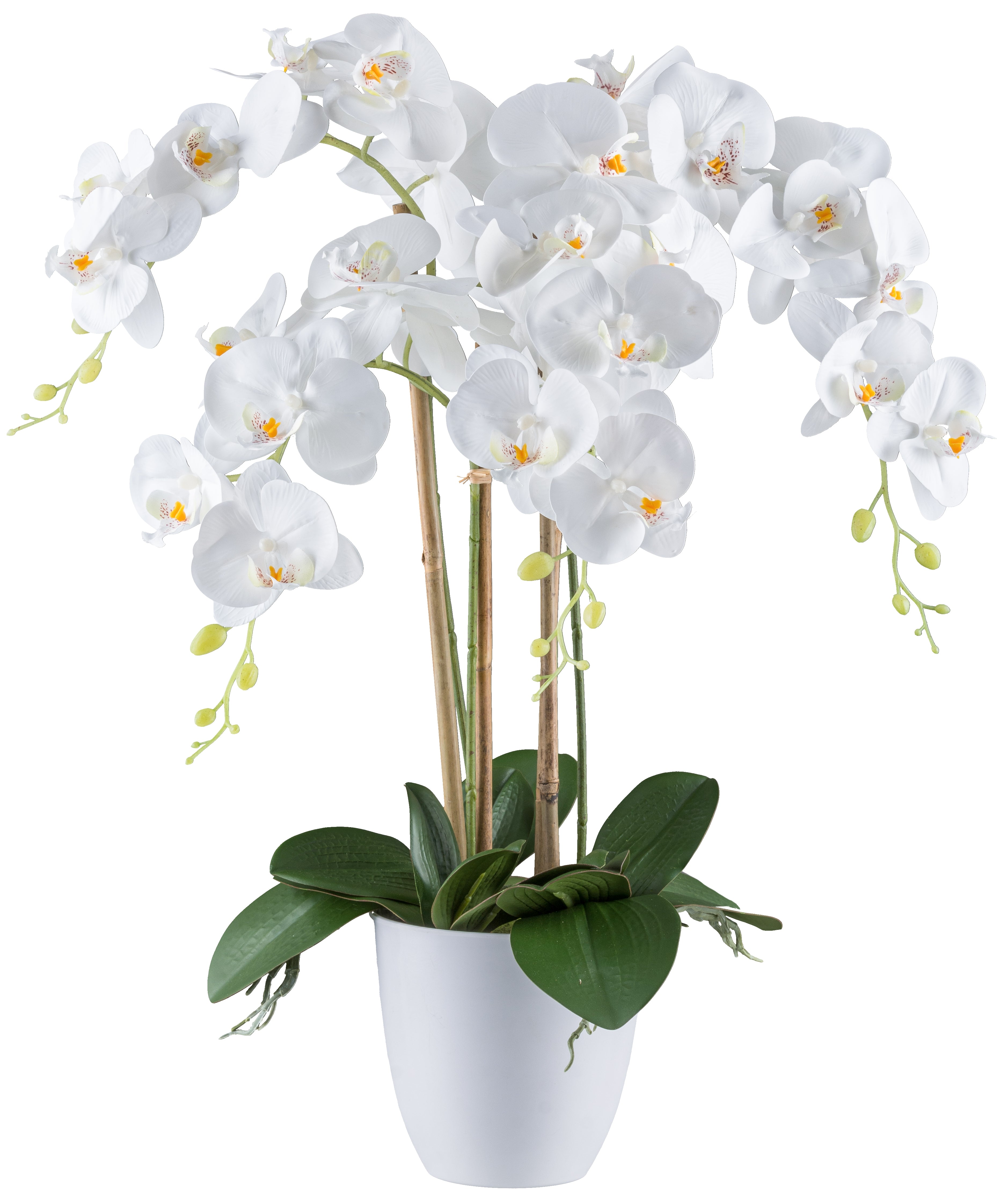 Phalaenopsis x4 62cm, weiss, Real Touch, im Melamintopf weiss 15x14cm