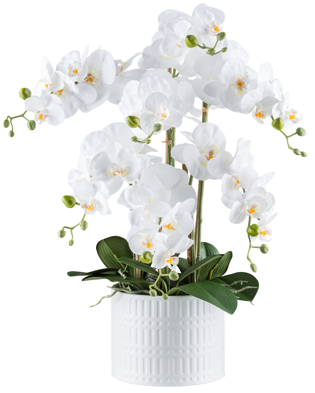 Phalaenopsis x7, 60cm weiss, Real Touch, im Keramiktopf weiss 19,5x15cm