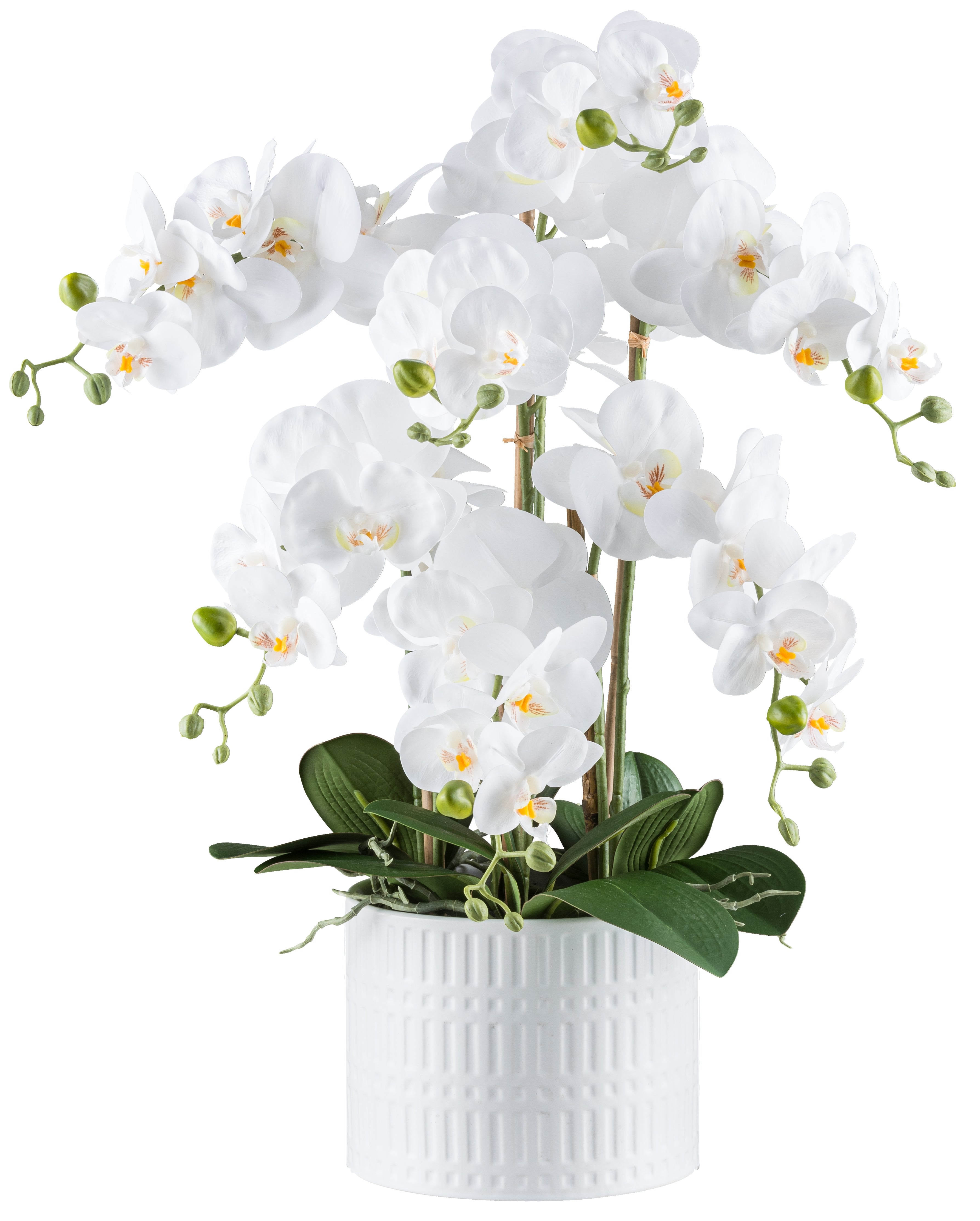 Phalaenopsis x7, 60cm weiss, Real Touch, im Keramiktopf weiss 19,5x15cm