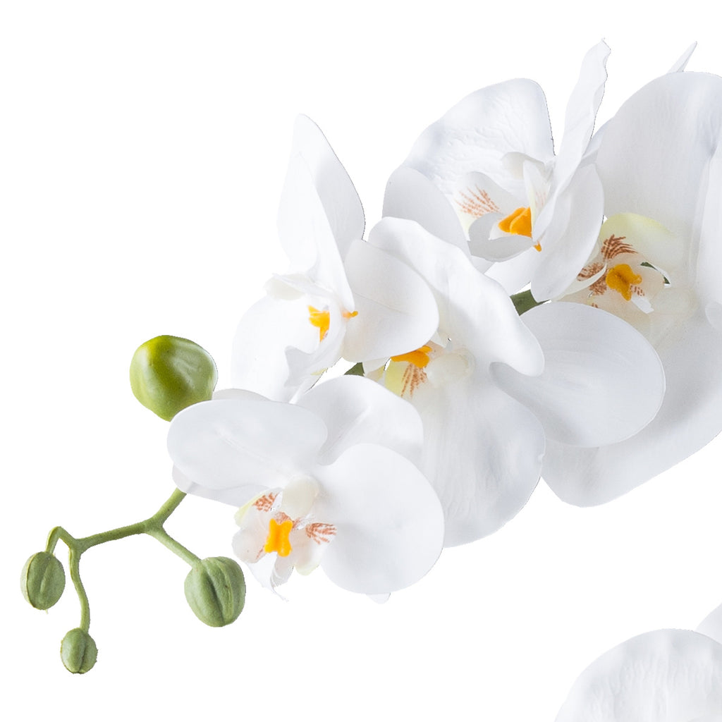 Phalaenopsis x7, 60cm weiss, Real Touch, im Keramiktopf weiss 19,5x15cm