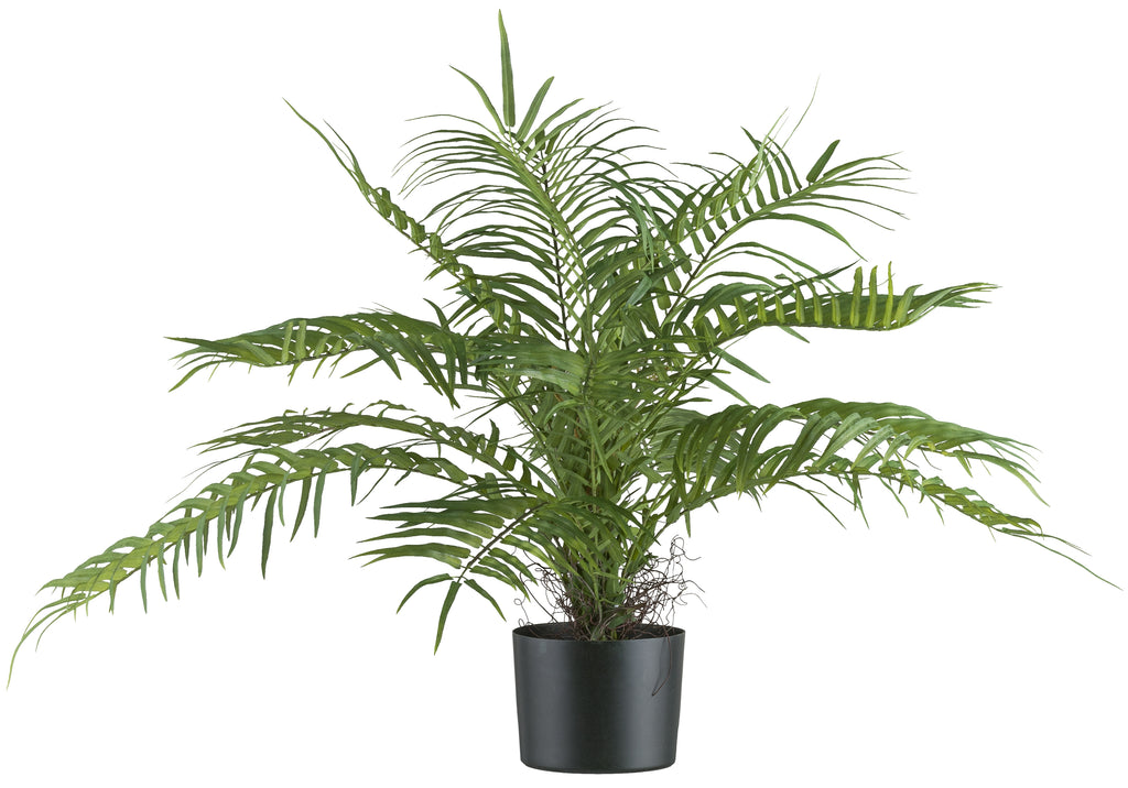 Areca Palmbusch x15, 70cm gruen, im Kunststofftopf 15x12cm mit Erde Material: schwer entflammbar