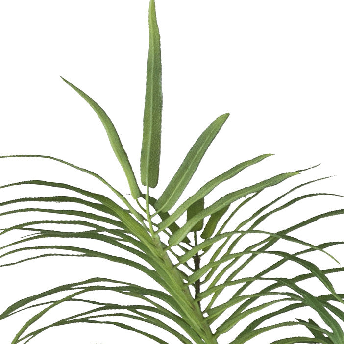 Areca Palmbusch x15, 70cm gruen, im Kunststofftopf 15x12cm mit Erde Material: schwer entflammbar
