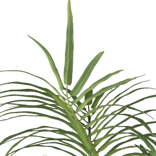 Areca Palmbusch x15, 70cm gruen, im Kunststofftopf 15x12cm mit Erde Material: schwer entflammbar