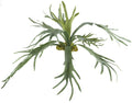 Geweihfarn x12, 80x80cm gruen, Kunststoff, Material: schwer entflammbar