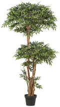 Ruscus Kugelbaum x2, 170cm gruen 4130 Blaetter, Naturstamm, im Kunststofftopf 20x16,5cm