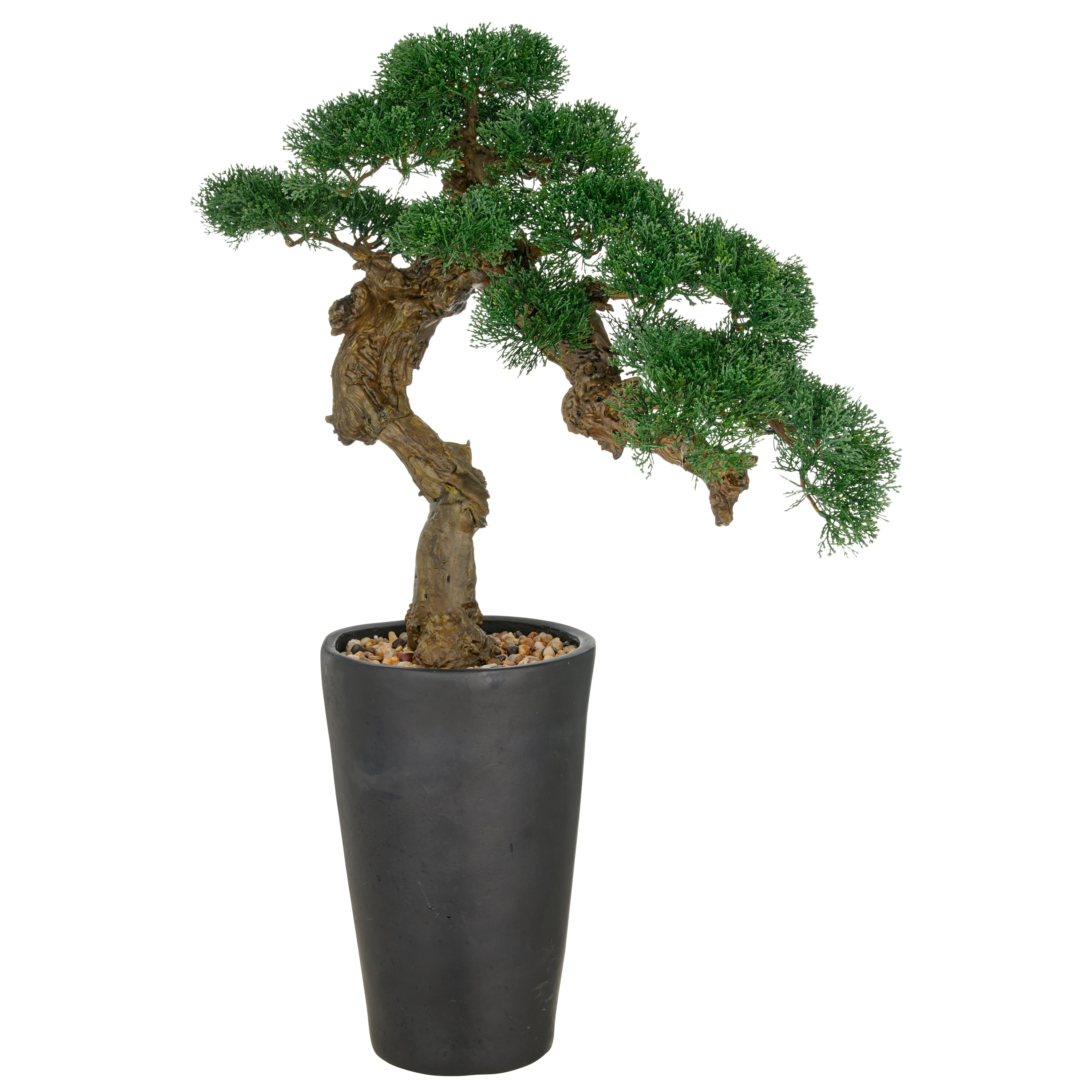 Bonsai Zeder, 80x60cm, gruen, im schwarzen Magnesia-Topf 22x34,5cm mit Kies, UV-bestaendig