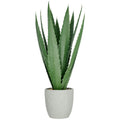 Agave x13, 80cm, gruen, im grauen Zementtopf 20x20cm mit Kies, UV-bestaendig