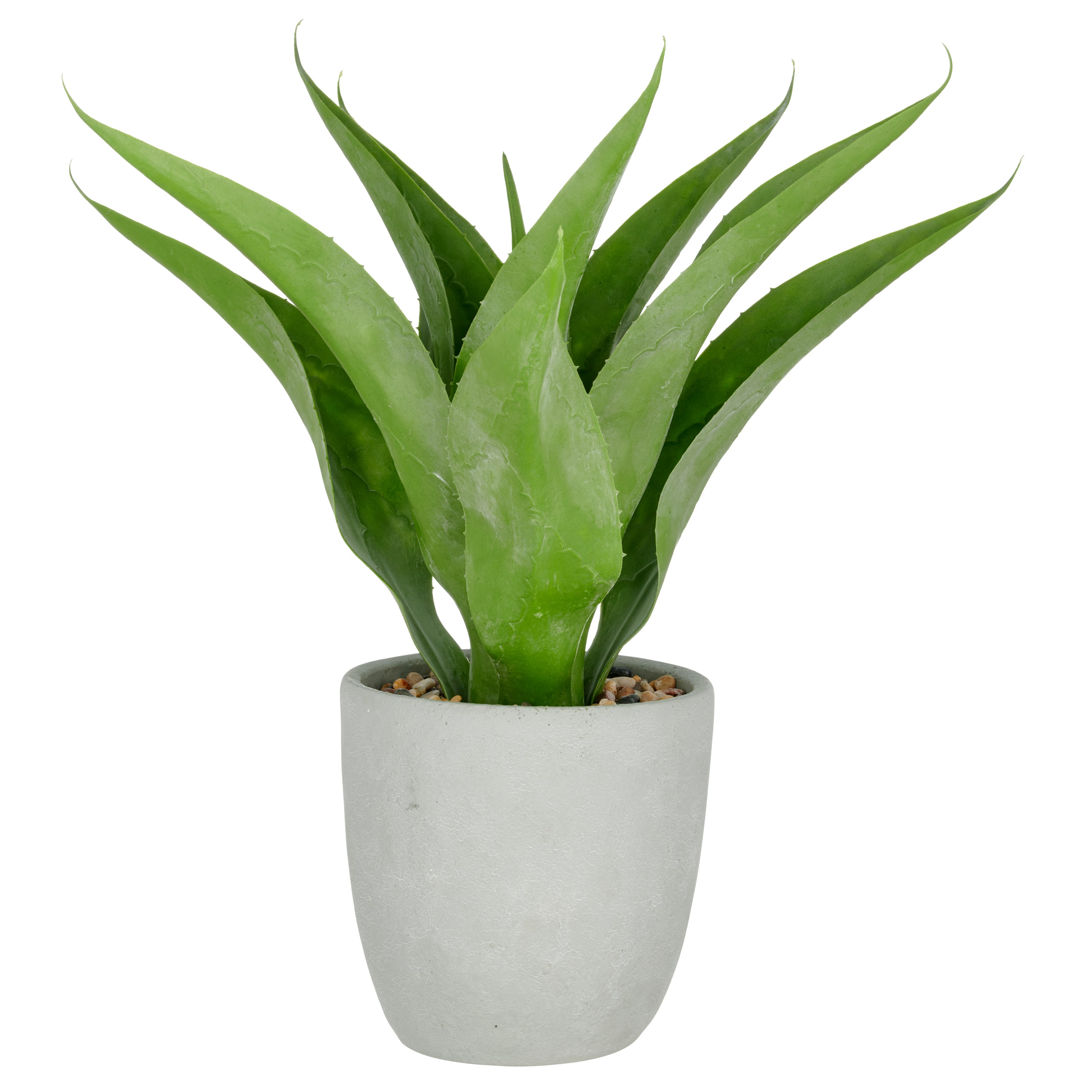 Agave x9, 55cm, gruen, im grauen Zementtopf 20x20cm mit Kies, UV-bestaendig