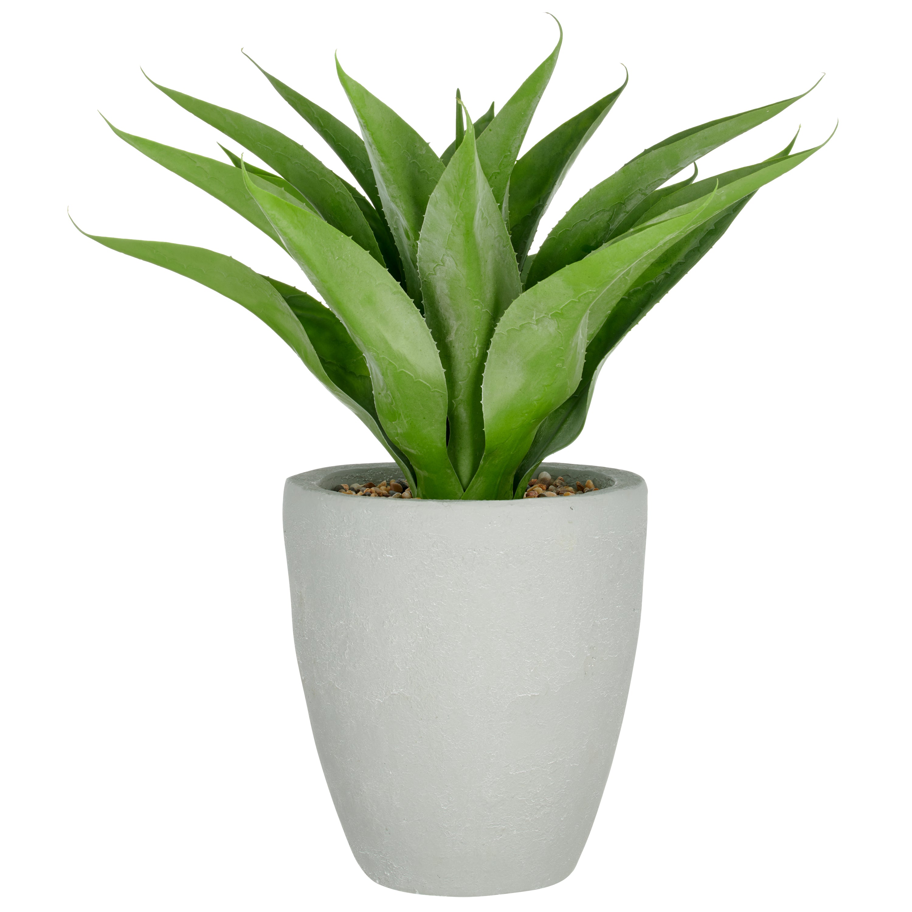 Agave x17, 75cm, gruen, im grauen Fiberclay-Topf 30x34cm mit Kies, UV-bestaendig