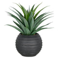 Agave, 75cm, gruen, im schwarzen Fiberclay-Topf 33x26cm mit Kies, UV-bestaendig