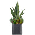 Sukkulentenarrangement, 55cm, gruen, im schwarzen Metalltopf 16x17cm mit Kies