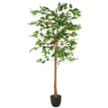 Ficus Benjamina, 570 Bl., 150cm, gruen, im Kunststofftopf 16x15cm mit Erde, UV-bestaendig