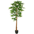 Ficus Benjamina, 840 Bl., 180cm, gruen, im Kunststofftopf 18x16,5cm mit Erde, UV-bestaendig