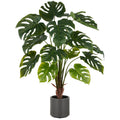 Split Philodendron x15, 100cm, gruen, im grauen Kunststofftopf 17,5x18cm mit Erde