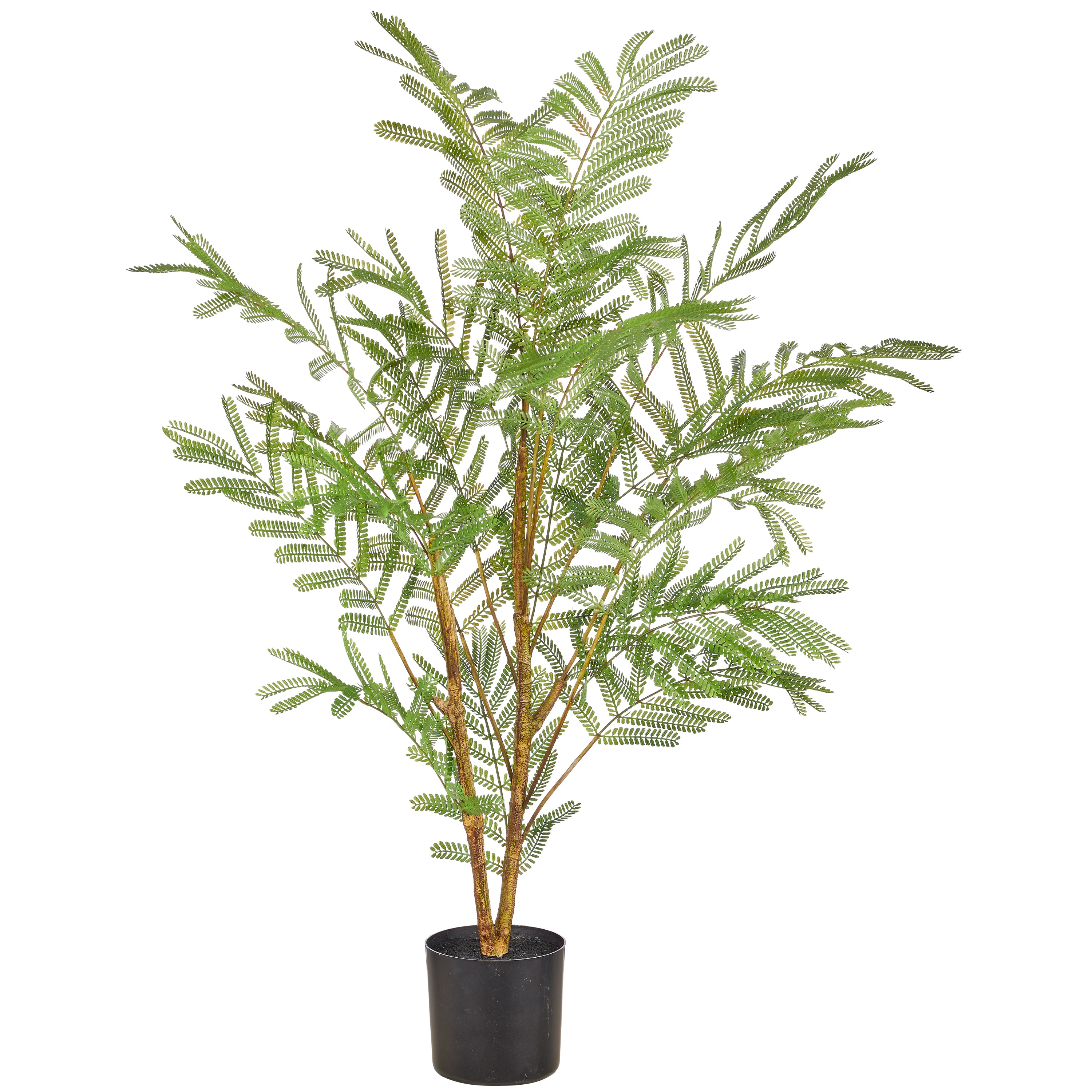 Jacaranda mimosifolia x2, 90cm, gruen, Kunststoff, im Kunststofftopf 12x11,5cm